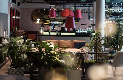 Vorschau von Pigment Bar / Indigo Vienna